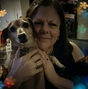 Meet your Posher, Debbie